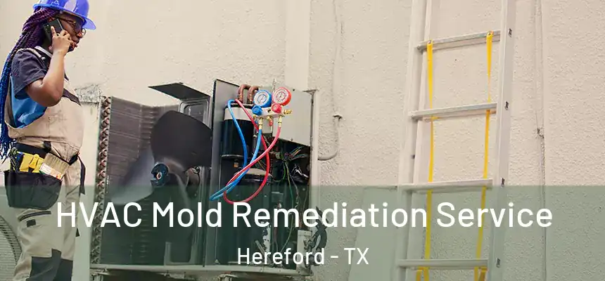  HVAC Mold Remediation Service Hereford - TX