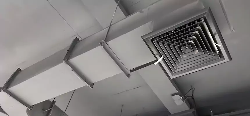 Restorative Allergy Relief Vent Cleaning – Coil, Blower & Housing Detail in Hereford