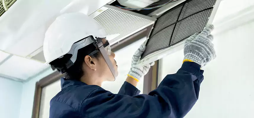 Our Mold & Mildew Removal from Air Ducts Services in Hereford, TX