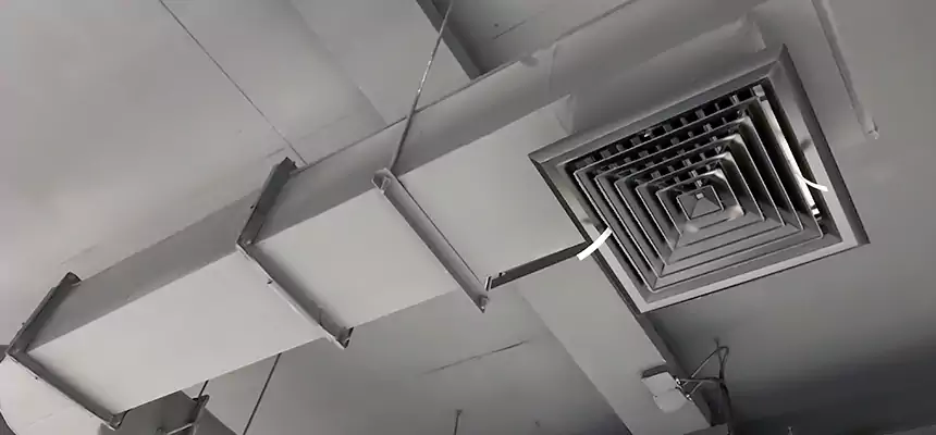 Our Pest Removal From Ducts Services in Hereford, TX