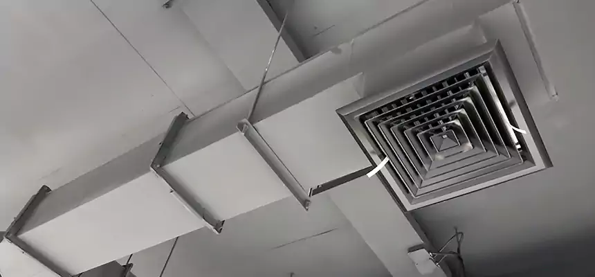 Our Rodent Droppings In Vents Services in Hereford, TX