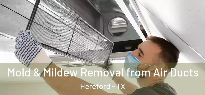  Mold & Mildew Removal from Air Ducts Hereford - TX