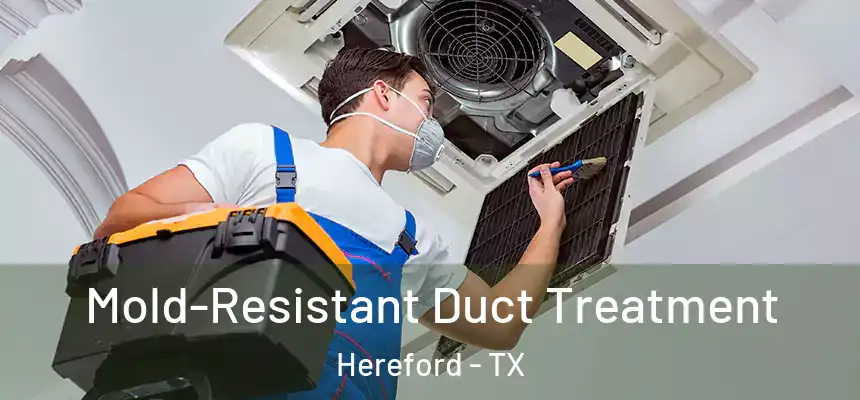  Mold-Resistant Duct Treatment Hereford - TX
