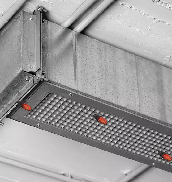 About Air Duct Cockroach Removal in Hereford, TX