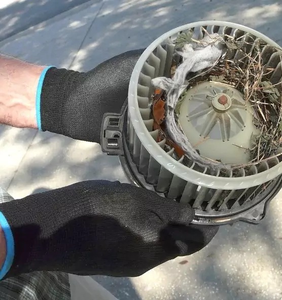 About Air Duct Rat Removal in Hereford, TX