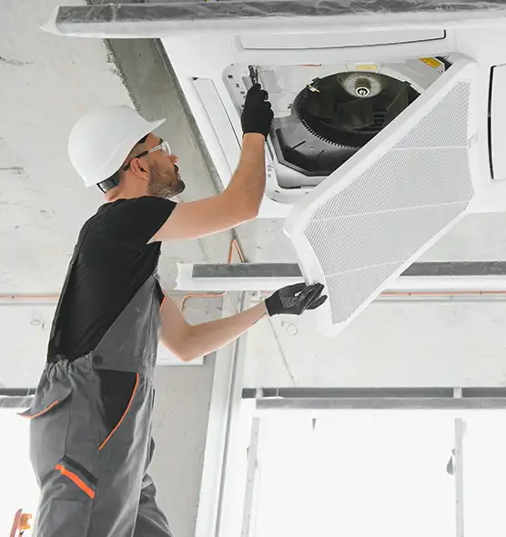 About Air Duct Rodent Removal in Hereford, TX