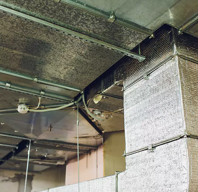 Why Homeowners & Businesses Trust Us in Hereford, TX?